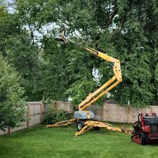 Best Sod Installation  in Pen Argyl, PA