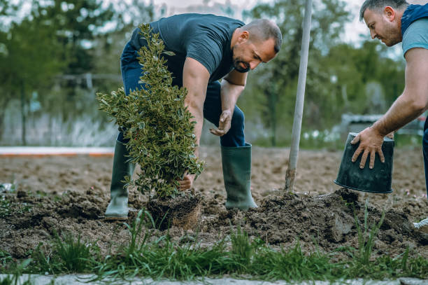 Soil Testing and Treatment in Pen Argyl, PA