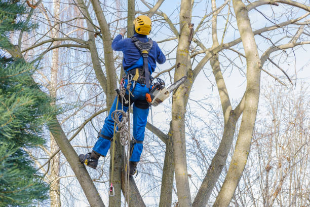 Mulching Services in Pen Argyl, PA